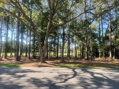 3295 Burnt Pine Lane