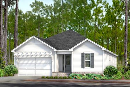 239 Green Heron Street