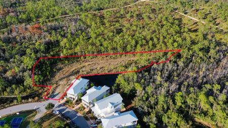 1 Flatwood Forest Loop