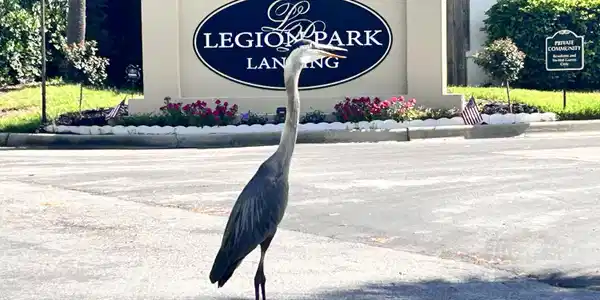 26 Legion Park Loop