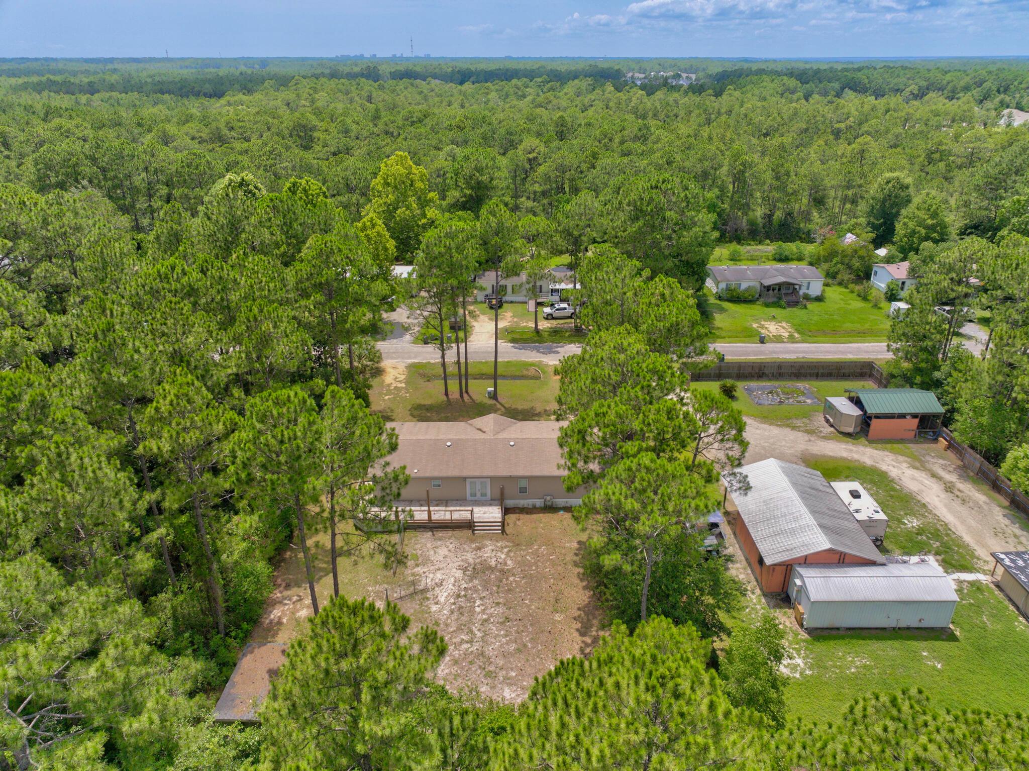 Image 3: 98_Holly_pines_cir-4