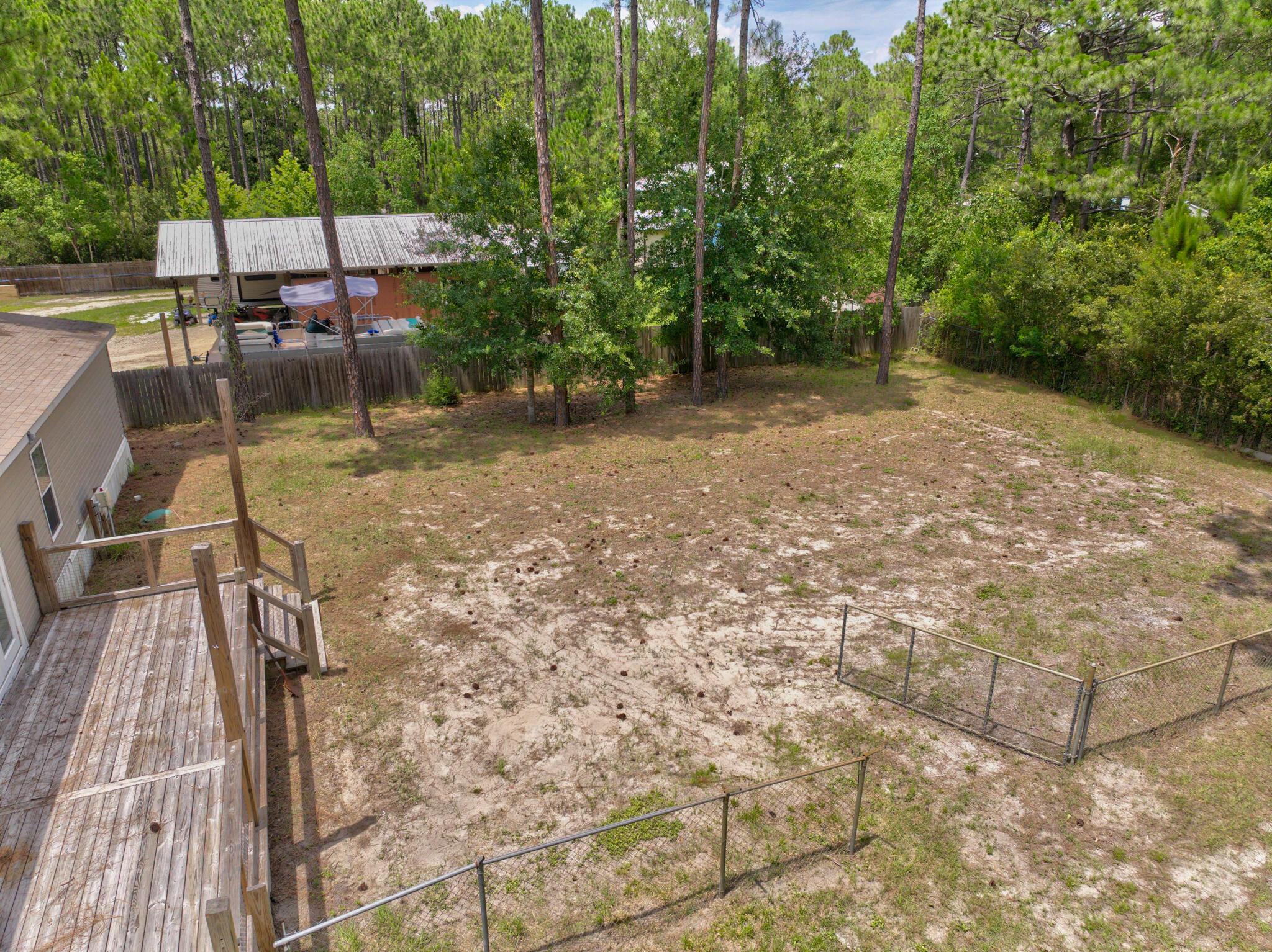 Image 4: 98_Holly_pines_cir-5