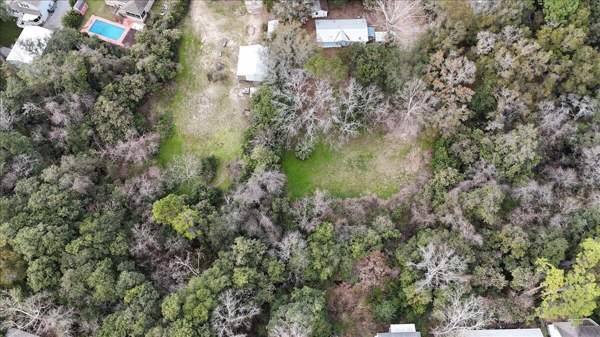Image 2: 36-DJI_20250308135819_0196_D