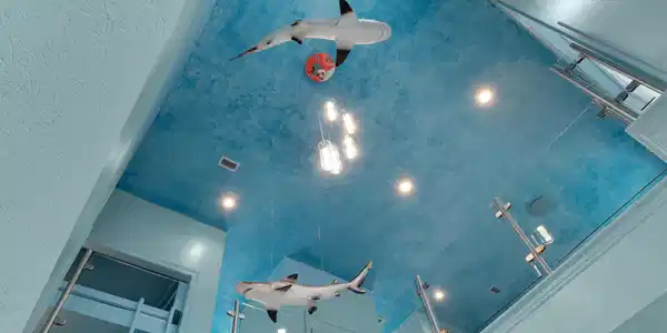 Image 2: Aqua-1