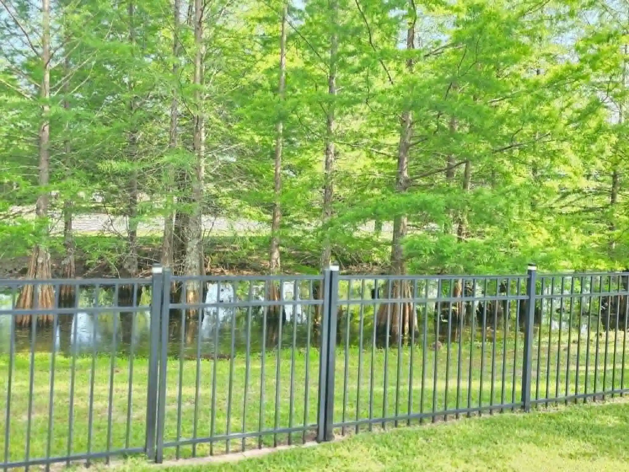 Image 1: Pond