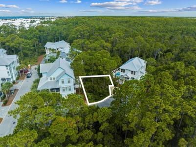 Lot 42 Treetop
