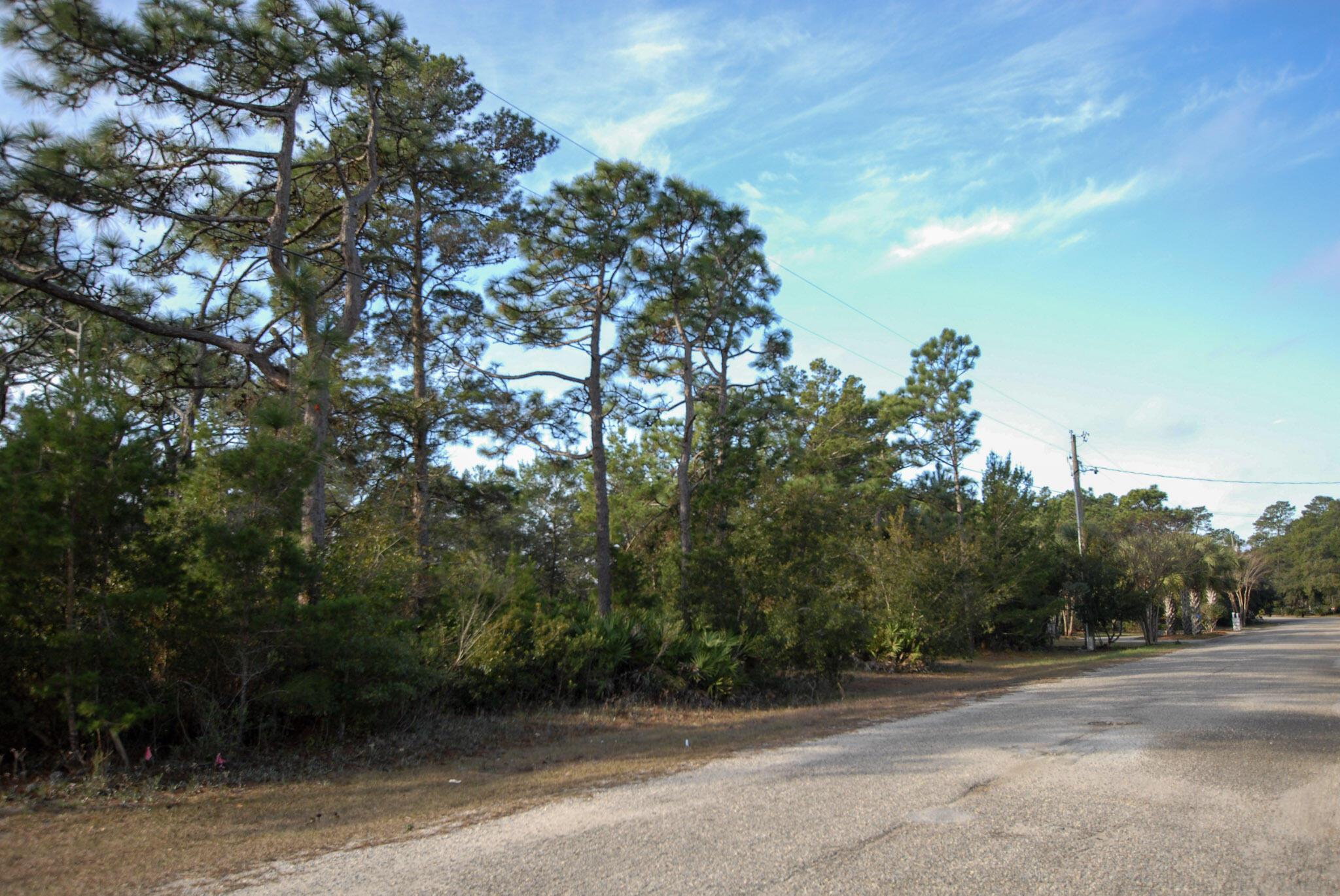 Image 3: 3-DSC_8820