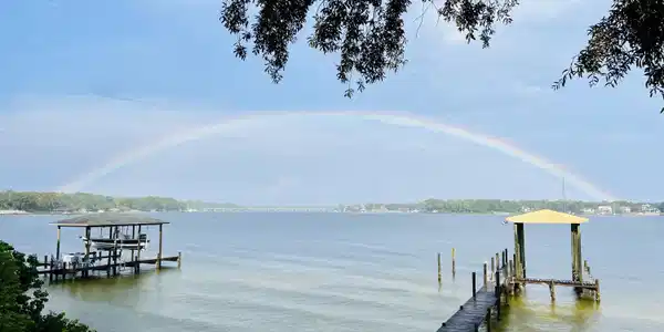 Image 4: Rainbow