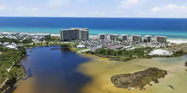 Image 3: drone