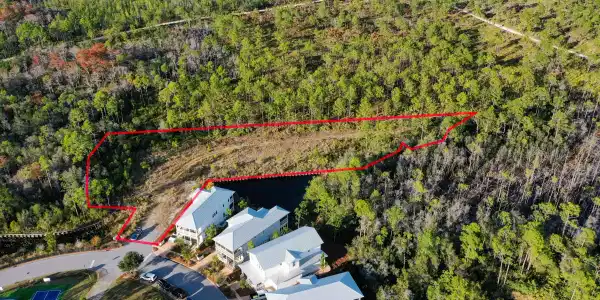 398 Flatwoods Forest Loop
