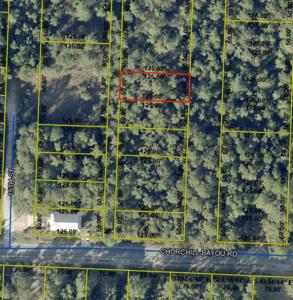 lot 7 S 14th Street