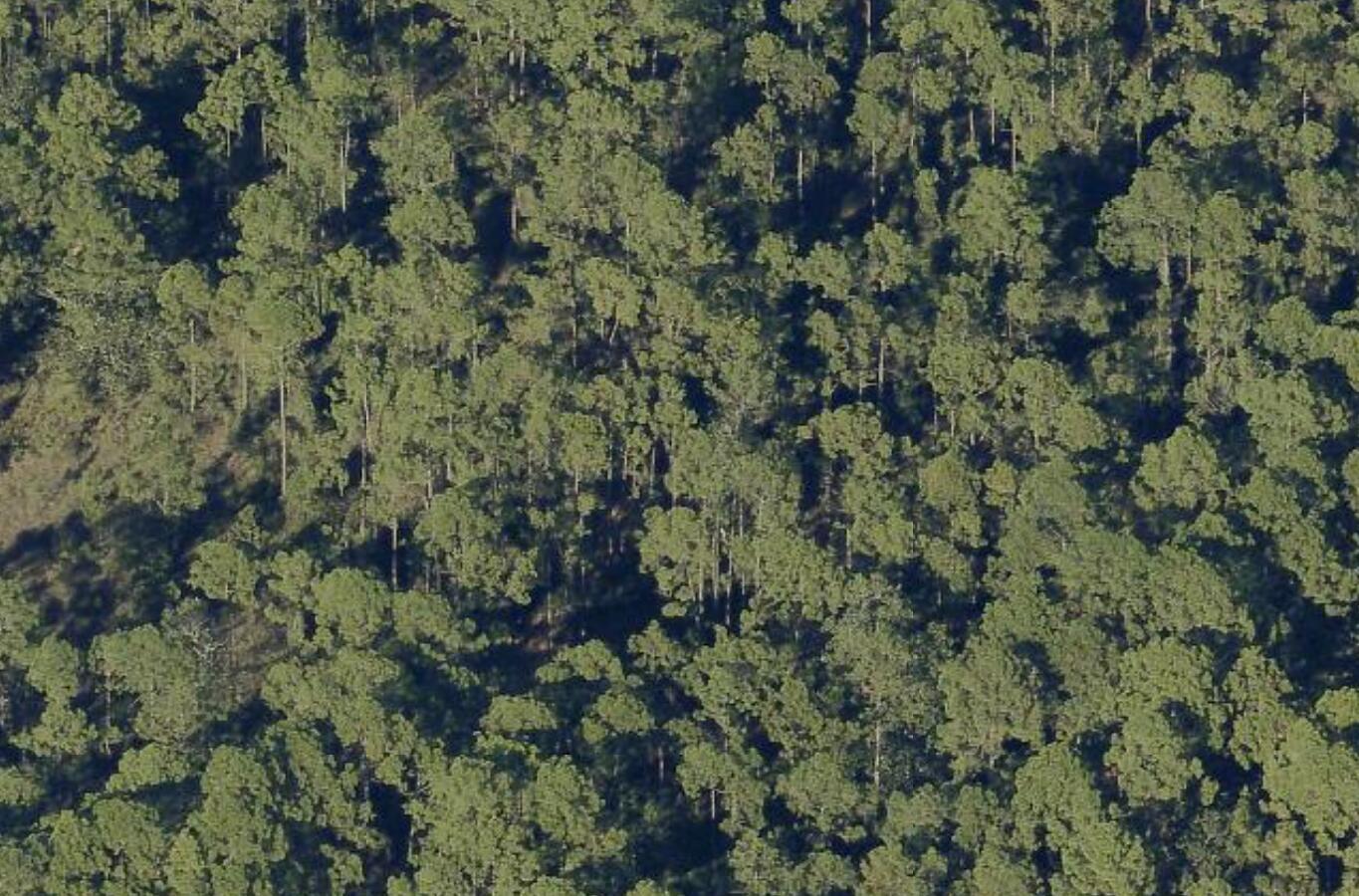 Image 4: eagle view