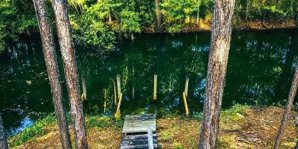 Image 3: Back yard Bayou
