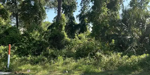 Lot 9 Forest Shore Drive