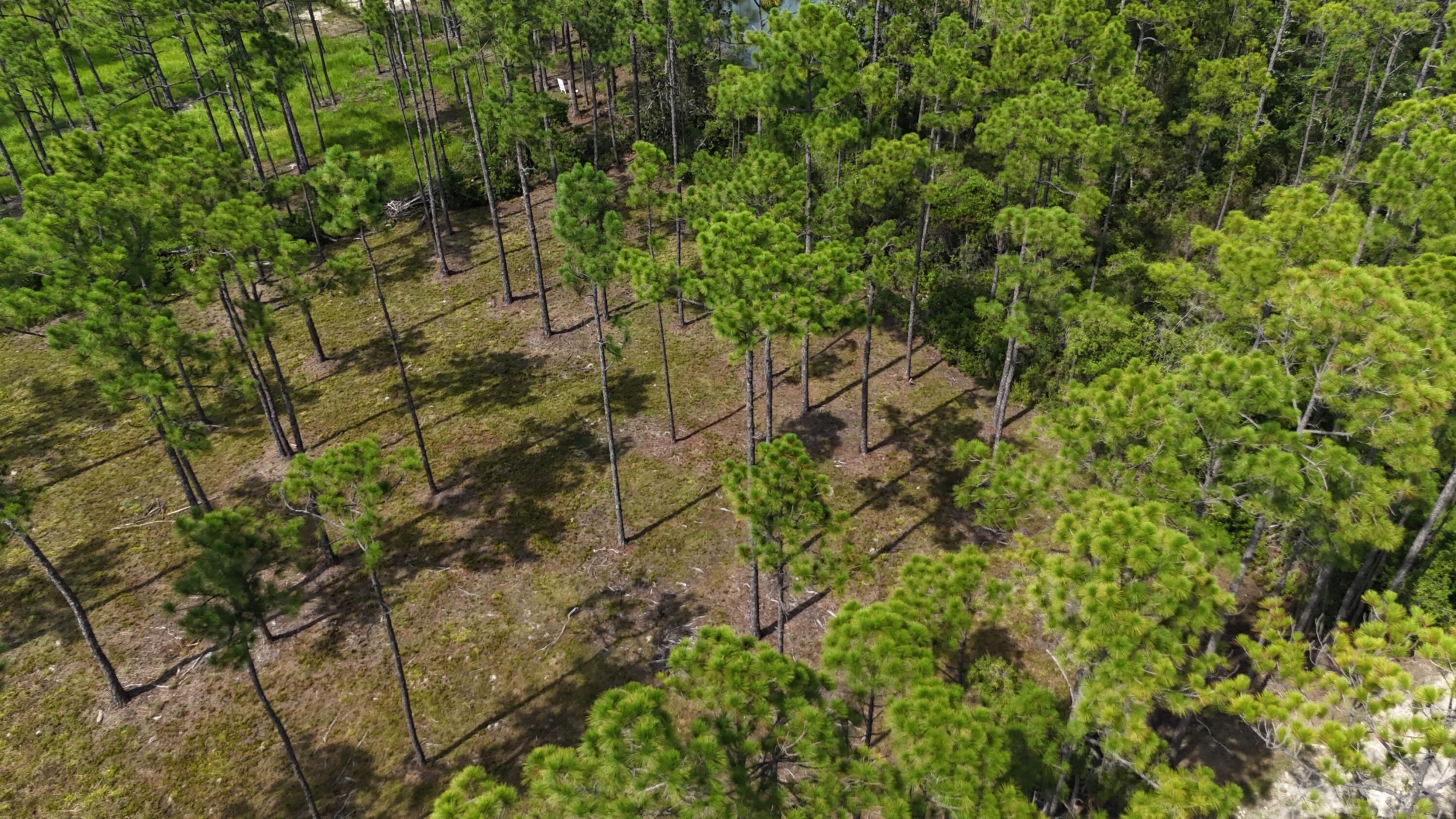 Image 2: dji_fly_20240824_020908_0084_17532164642