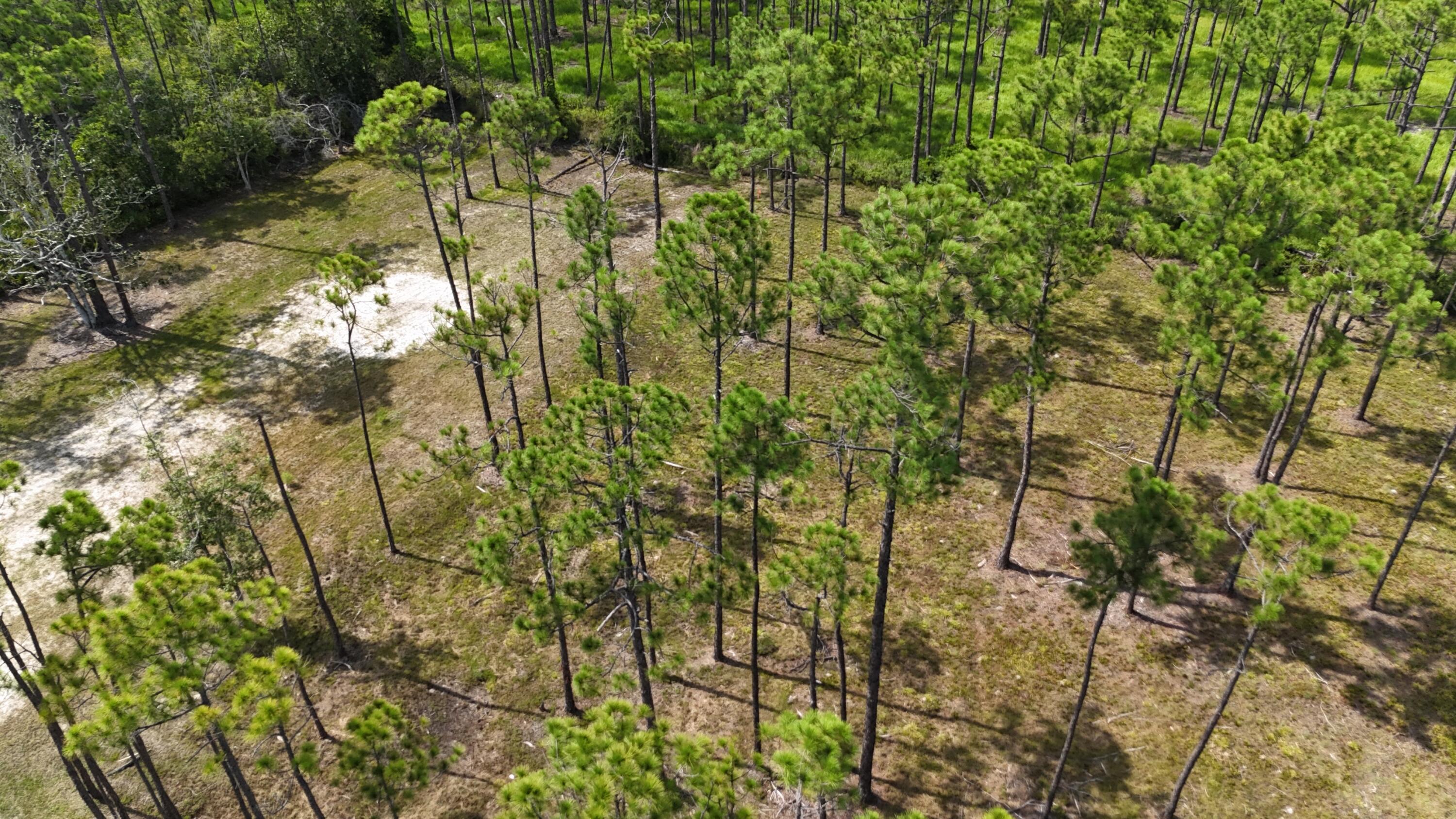 Image 3: dji_fly_20240824_020912_0085_17532164639