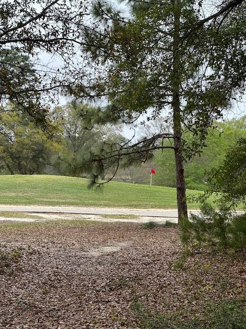 Image 3: 446 Marion Dr View of Golf Course 4 Apr