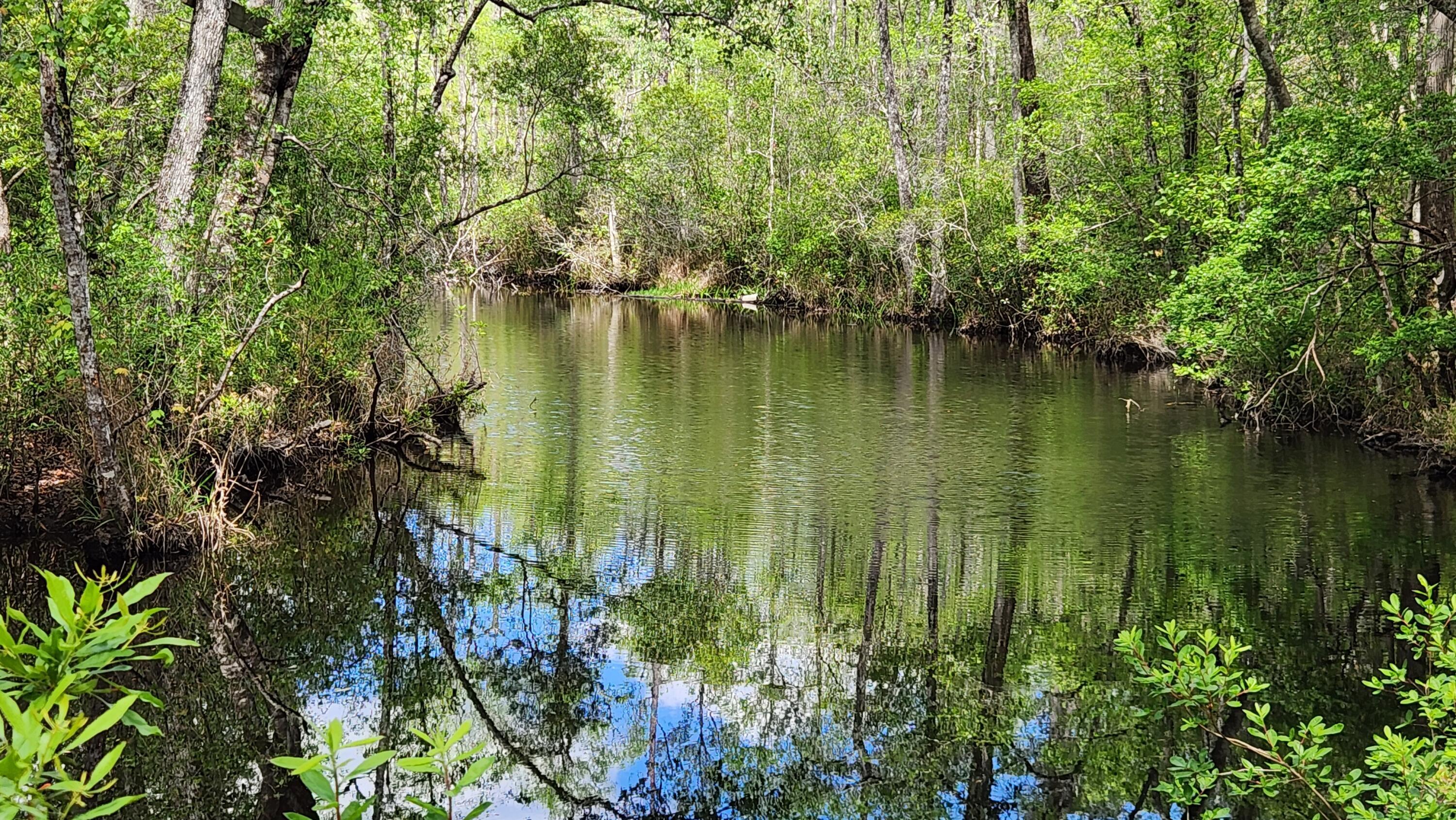 Image 4: 20260410_135519