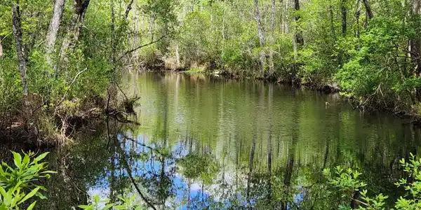 Image 4: 20260410_135519