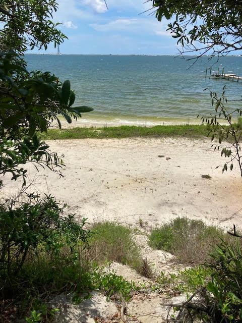 Image 2: VIew from the wooded area