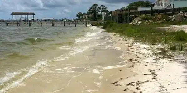 Image 3: Shoreline