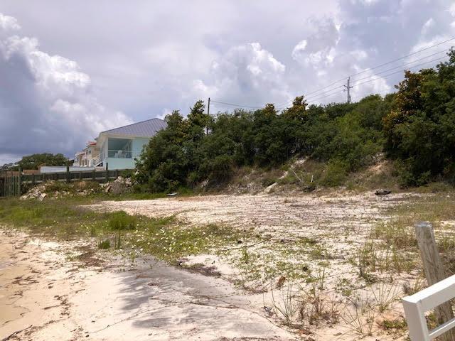 Image 4: View West