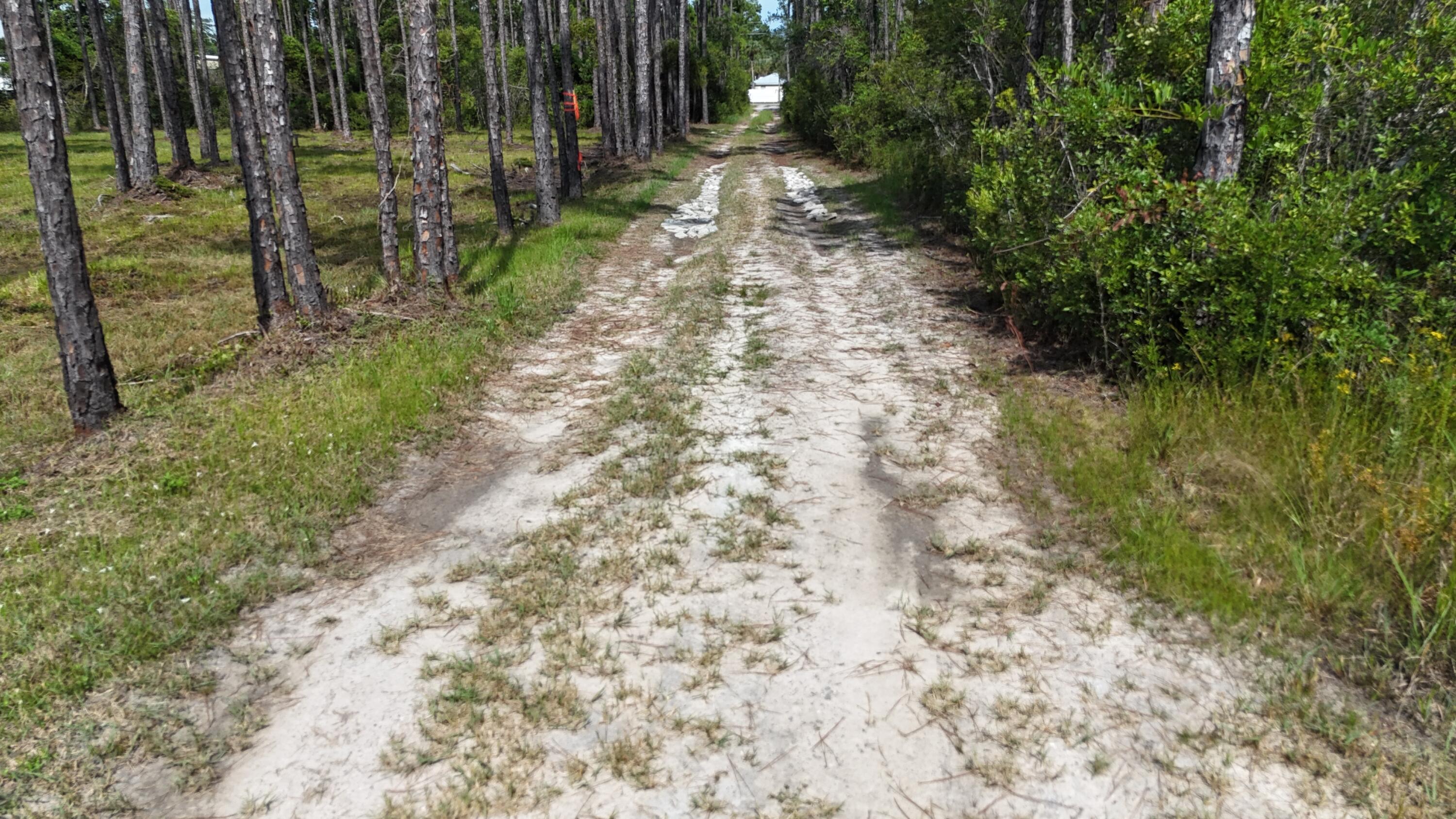 Image 4: dji_fly_20240824_021146_0093_17532164614
