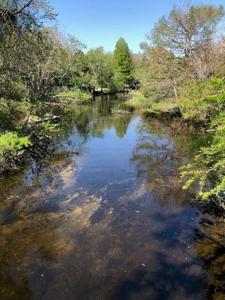 Lot 24 W St Highway 20