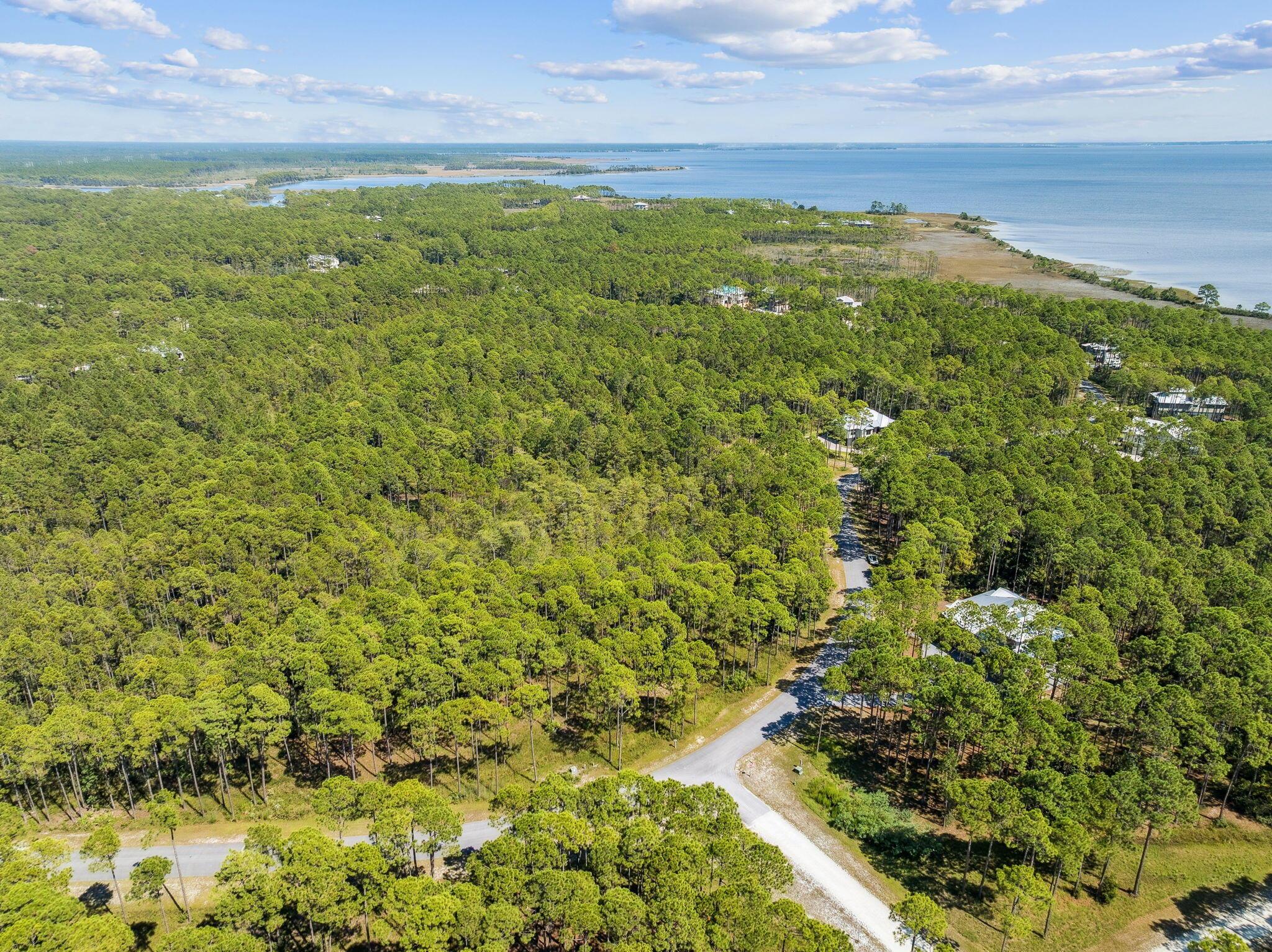 Image 2: Array_7628CoastalHammockTrail-1