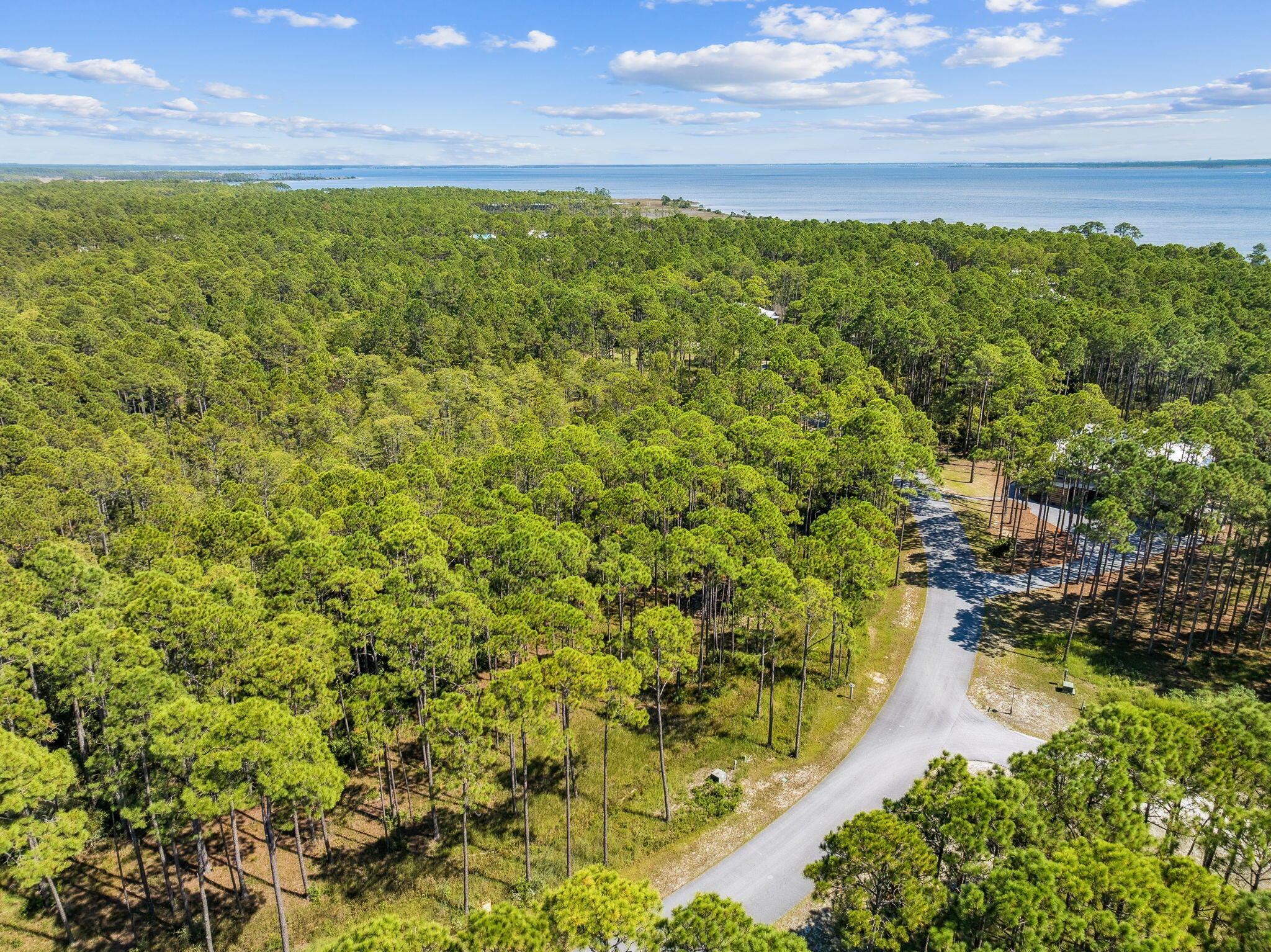 Image 4: Array_7628CoastalHammockTrail-4