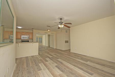 703 Lighthouse Road