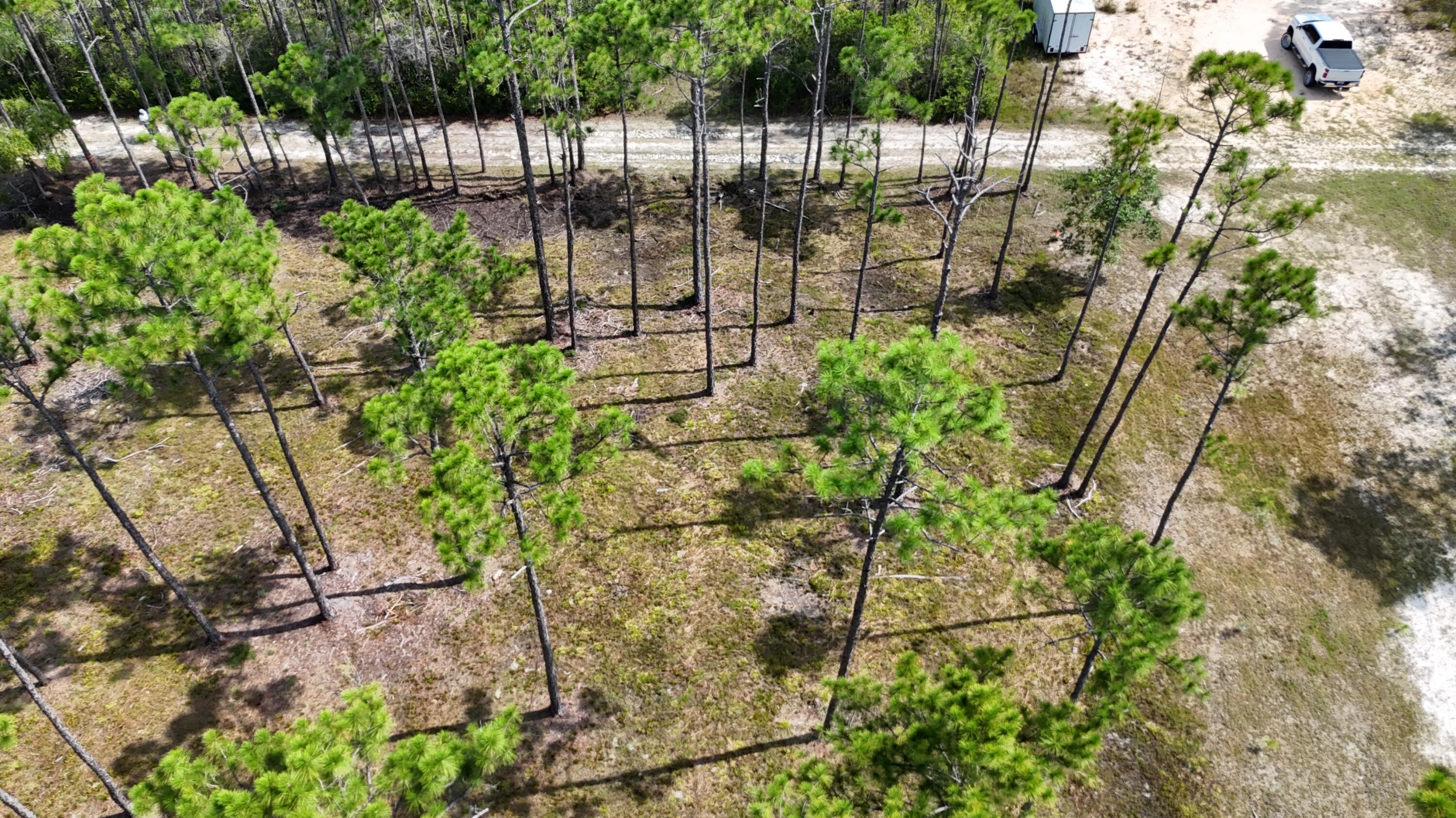 Image 2: dji_fly_20240824_020944_0087_17532164633