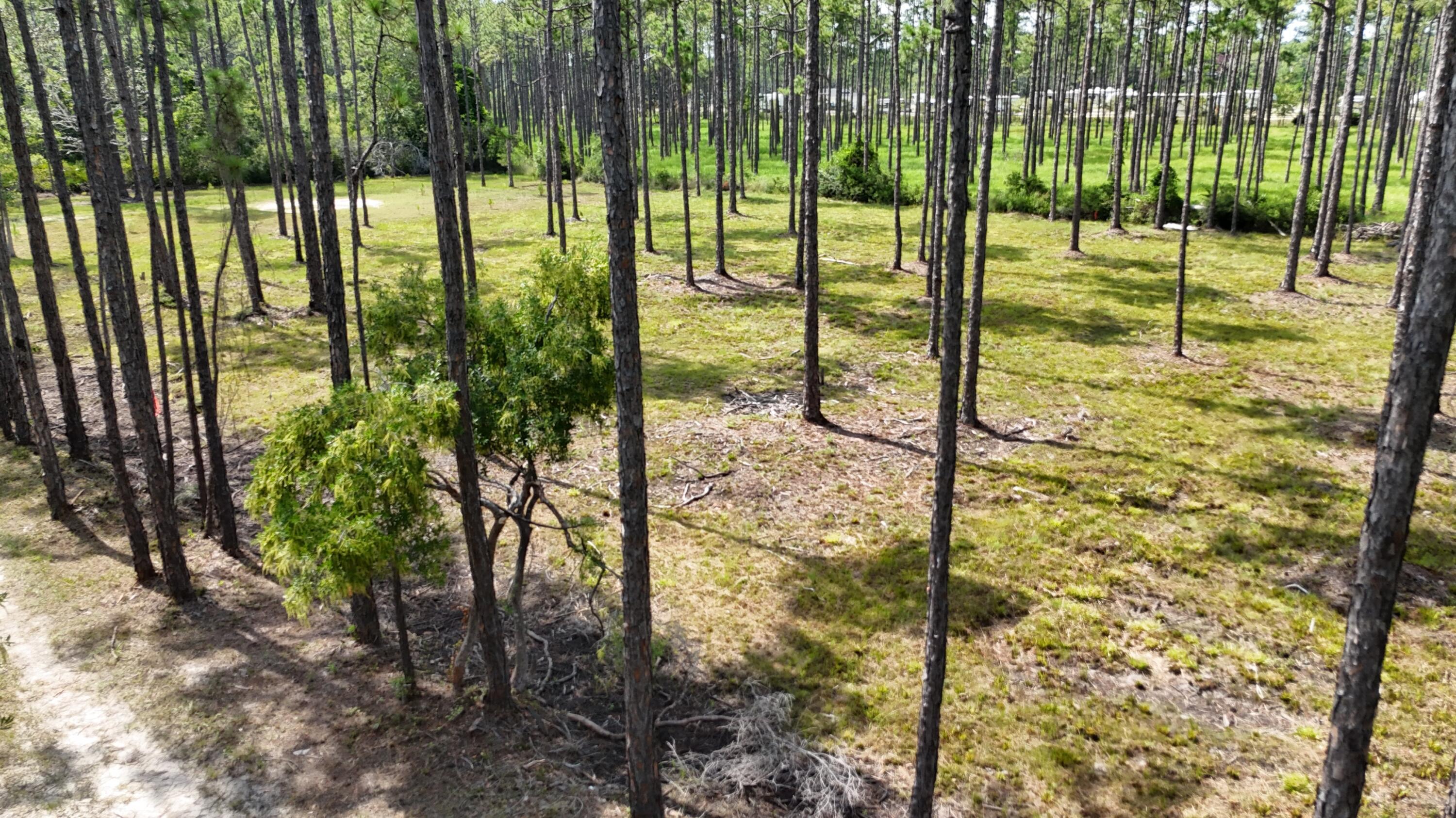 Image 3: dji_fly_20240824_020750_0078_17532164660