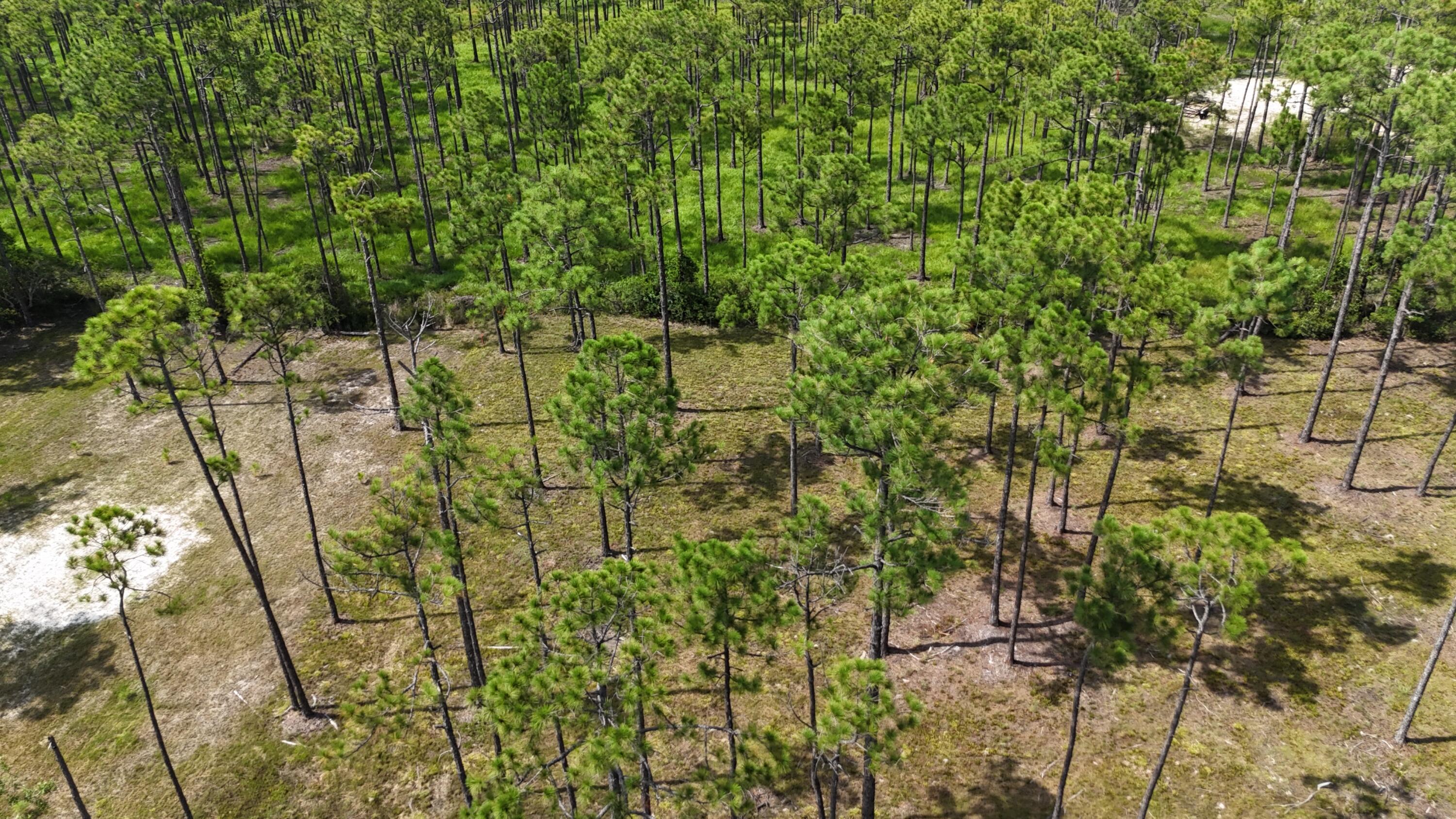 Image 4: dji_fly_20240824_020320_0074_17532164673
