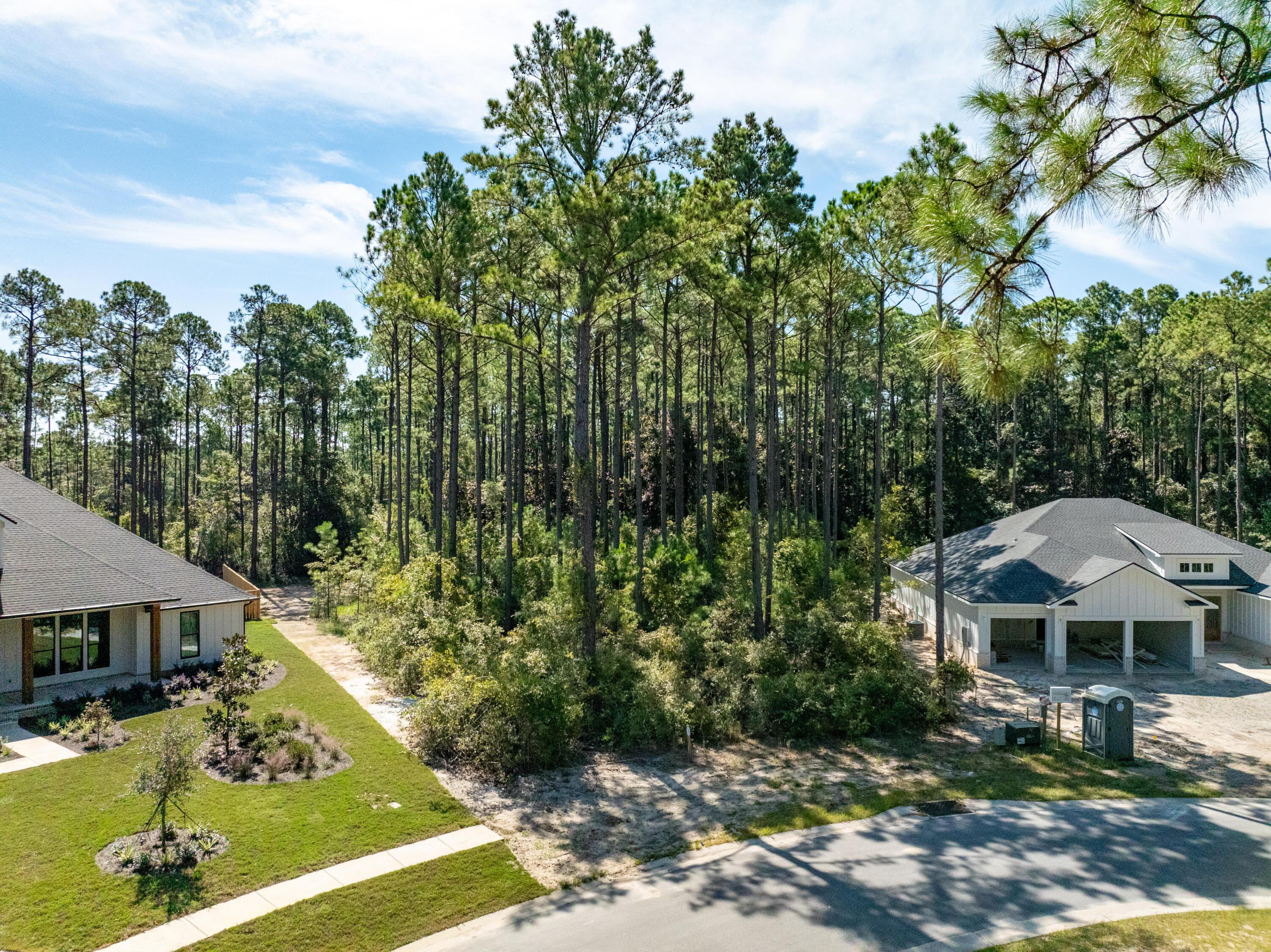 Image 2: DJI_0437-HDR
