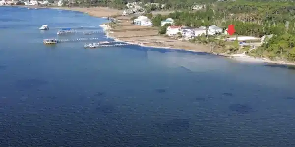 Image 4: Drone