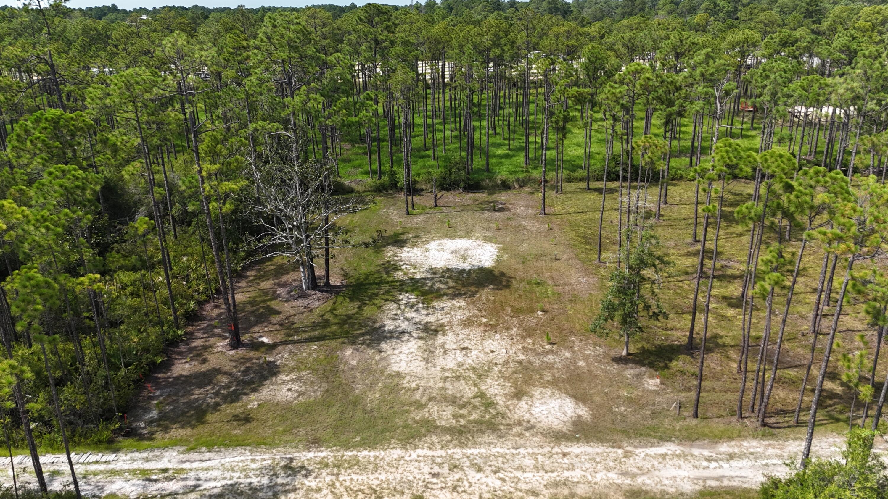 Image 2: dji_fly_20240824_015908_0060_17532164717