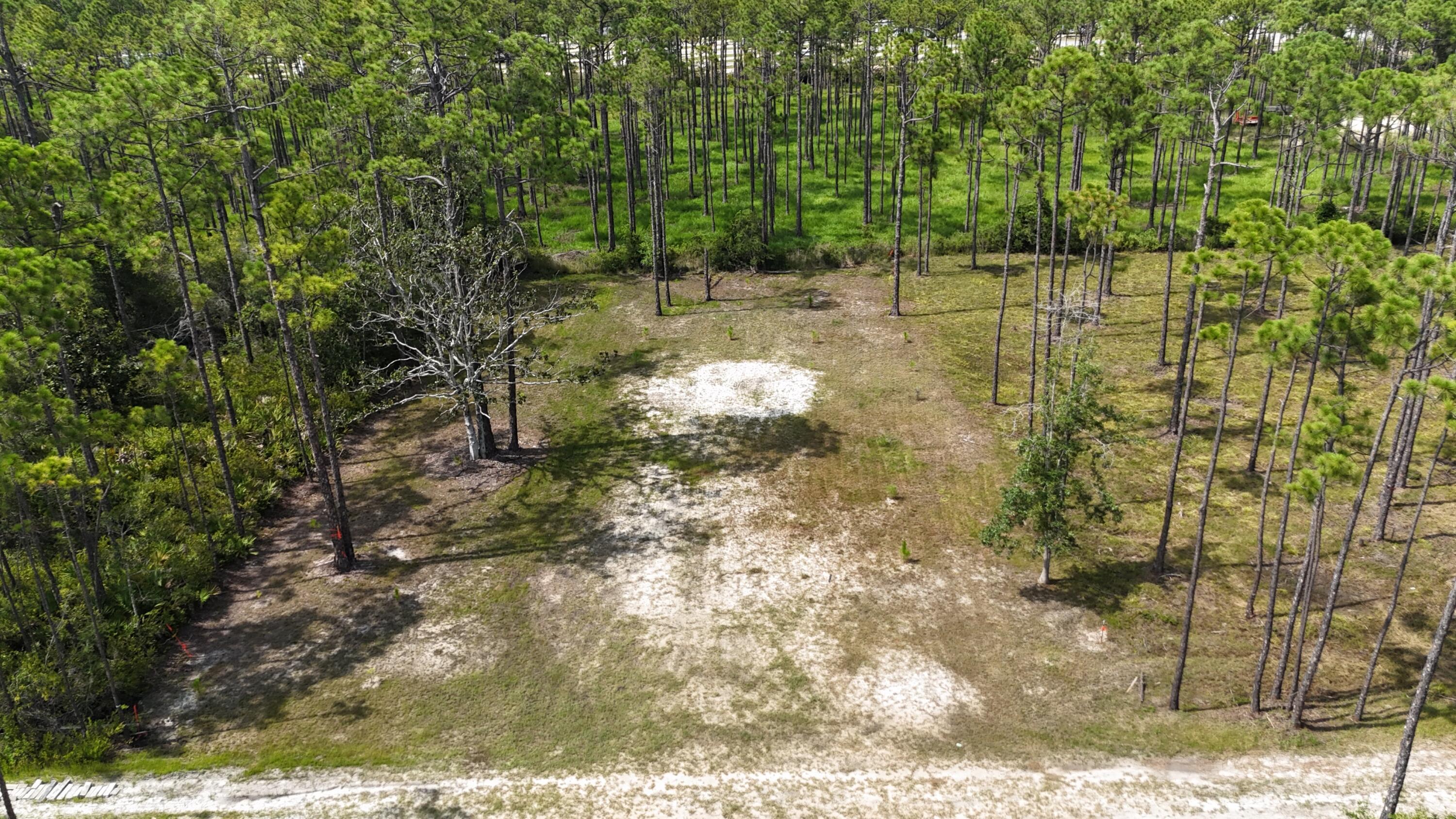Image 3: dji_fly_20240824_015914_0061_17532164714