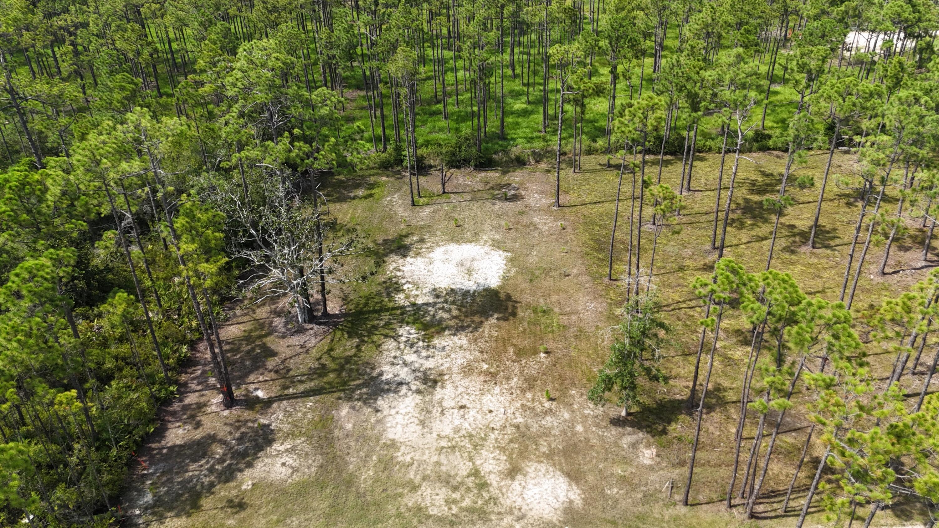 Image 4: dji_fly_20240824_015930_0062_17532164710