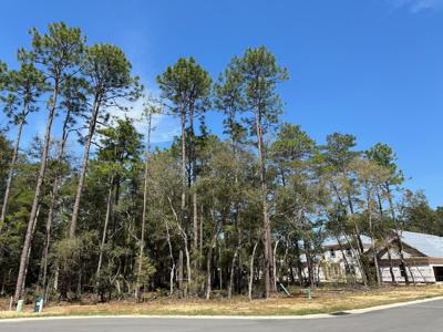 320 Gazelle Court