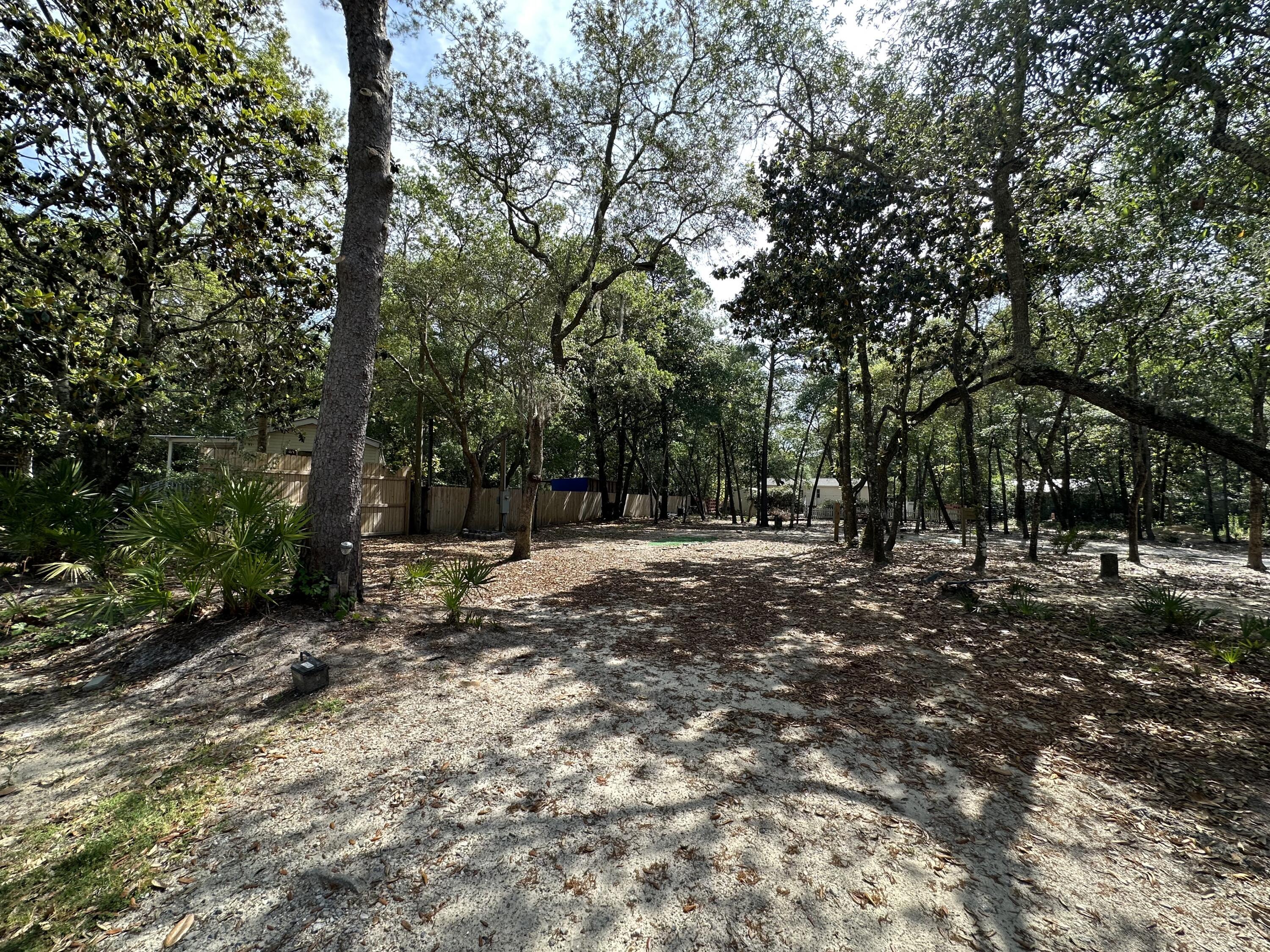 Image 3: IMG_2007 2