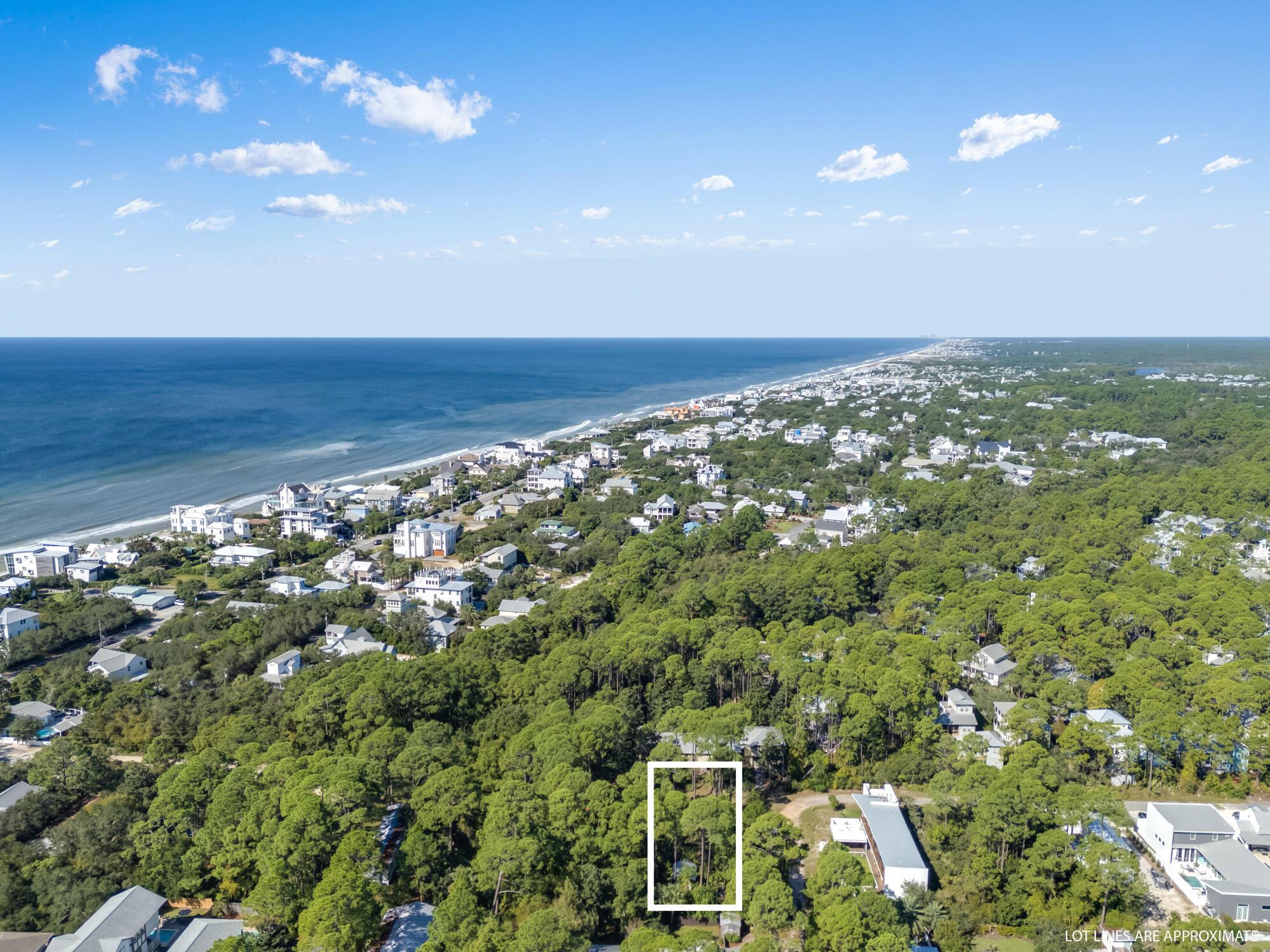Image 4: 4_nancy abraham_30°18'57.6'n 86°07'15.8'