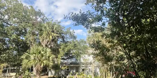 58 Hankins Road