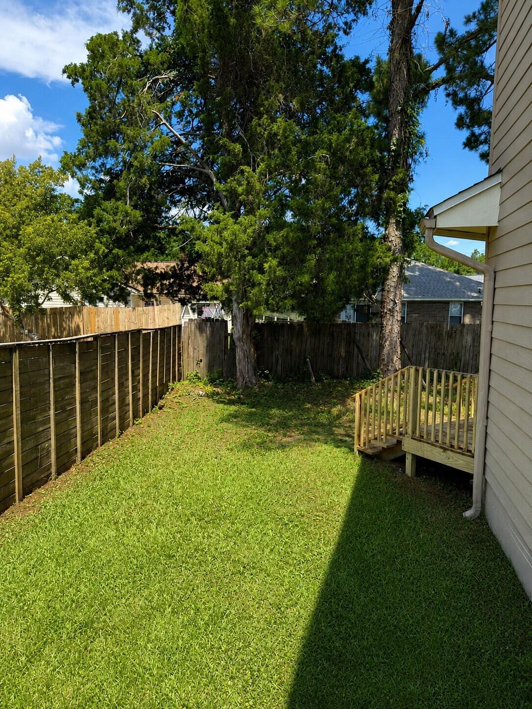 Image 4: side yard new