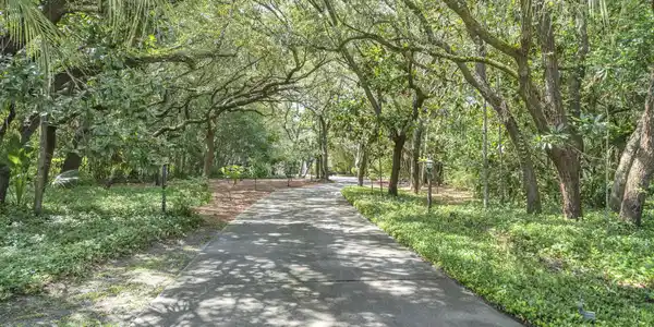 Image 3: Magical entry