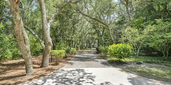 Image 4: Gracious oaks provide privacy