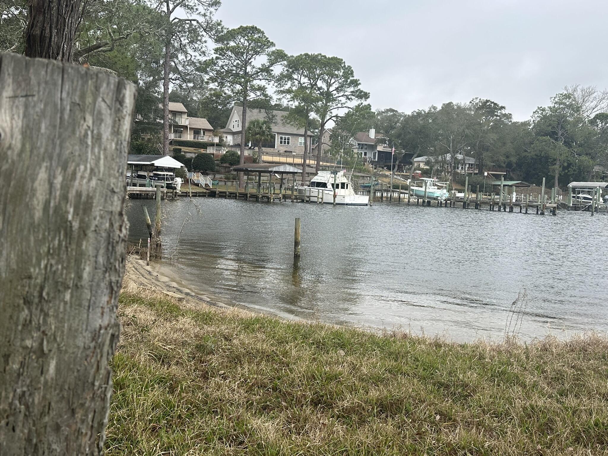 Image 3: IMG_7511