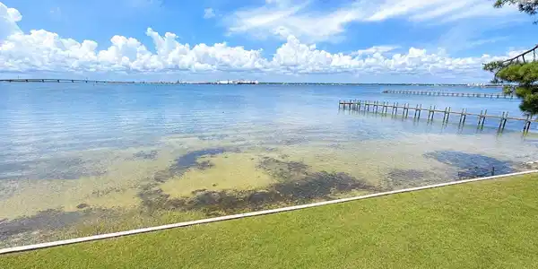 Image 3: Waterfront
