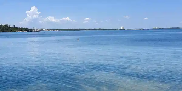 Image 4: Bayview