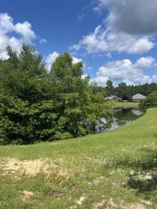 Lot 129 Amadeus Avenue